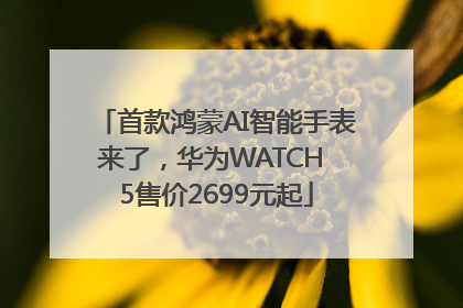 首款鸿蒙AI智能手表来了，华为WATCH 5售价2699元起
