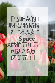 马斯克的王牌不是特斯拉？“木头姐”：SpaceX估值五年后可达2.5万亿美元！
