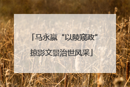 马永嬴“以陵窥政” 掠影文景治世风采