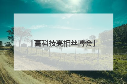 高科技亮相丝博会