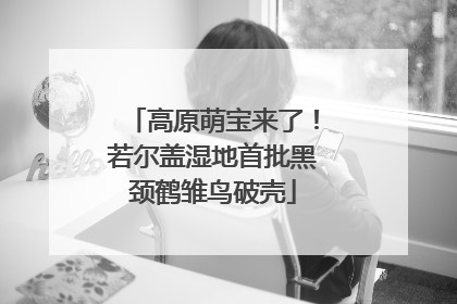 高原萌宝来了！若尔盖湿地首批黑颈鹤雏鸟破壳
