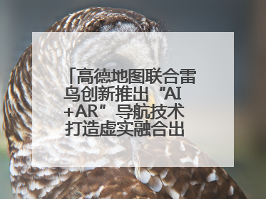 高德地图联合雷鸟创新推出“AI+AR”导航技术 打造虚实融合出行新体验