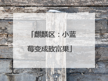 麒麟区：小蓝莓变成致富果
