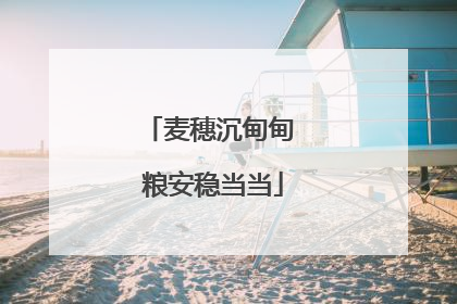 麦穗沉甸甸 粮安稳当当