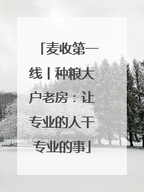 麦收第一线丨种粮大户老房：让专业的人干专业的事
