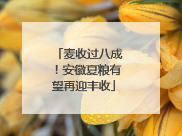 麦收过八成！安徽夏粮有望再迎丰收