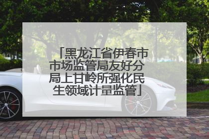 黑龙江省伊春市市场监管局友好分局上甘岭所强化民生领域计量监管