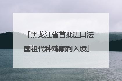 黑龙江省首批进口法国祖代种鸡顺利入境