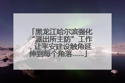 黑龙江哈尔滨强化“派出所主防”工作，让平安建设触角延伸到每个角落……