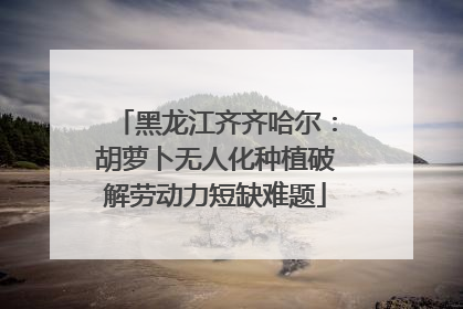 黑龙江齐齐哈尔：胡萝卜无人化种植破解劳动力短缺难题