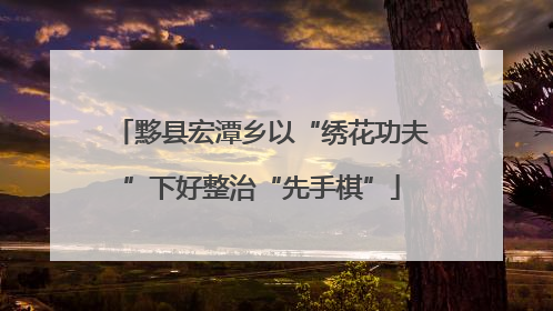 黟县宏潭乡以“绣花功夫”下好整治“先手棋”