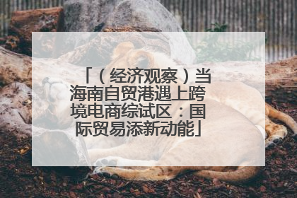 （经济观察）当海南自贸港遇上跨境电商综试区：国际贸易添新动能