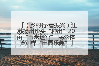 （乡村行·看振兴）江苏扬州沙头“种出”20亩“玉米迷宫” 民众体验别样“田园乐趣”