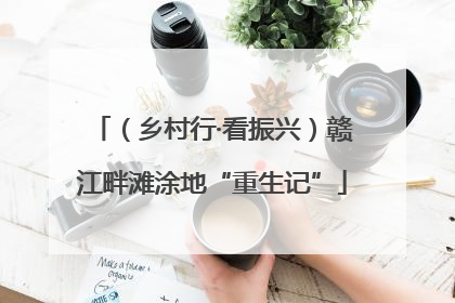 （乡村行·看振兴）赣江畔滩涂地“重生记”