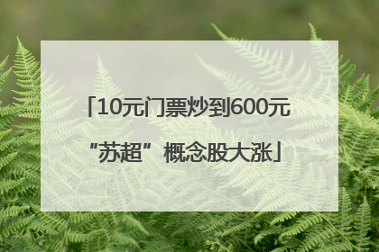 10元门票炒到600元 “苏超”概念股大涨