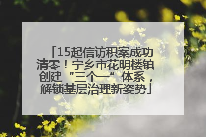 15起信访积案成功清零！宁乡市花明楼镇创建“三个一”体系，解锁基层治理新姿势