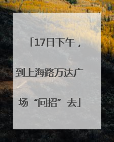 17日下午，到上海路万达广场“问招”去