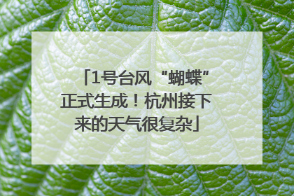 1号台风“蝴蝶”正式生成！杭州接下来的天气很复杂