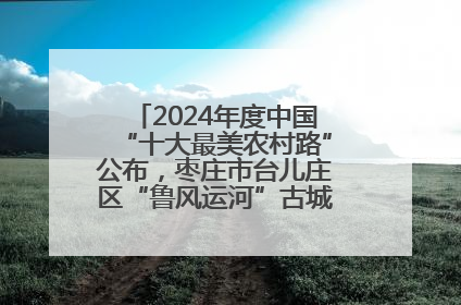 2024年度中国“十大最美农村路”公布，枣庄市台儿庄区“鲁风运河”古城文化廊道上榜！