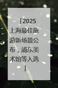 2025上海最佳旅游新场景公布，浦东美术馆等入选