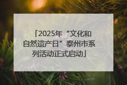 2025年“文化和自然遗产日”泰州市系列活动正式启动