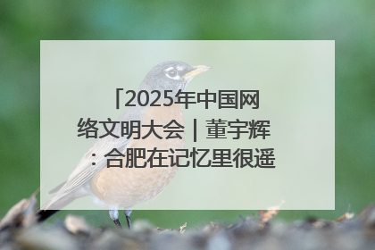 2025年中国网络文明大会｜董宇辉：合肥在记忆里很遥远也很亲切