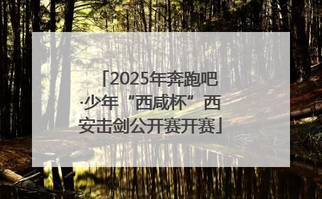 2025年奔跑吧·少年“西咸杯”西安击剑公开赛开赛