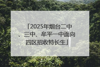 2025年烟台二中、三中、牟平一中面向四区招收特长生