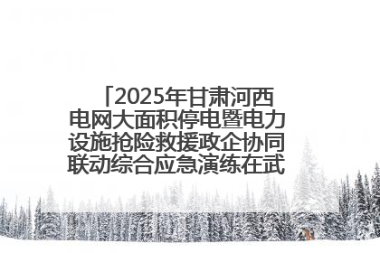 2025年甘肃河西电网大面积停电暨电力设施抢险救援政企协同联动综合应急演练在武威成功举行