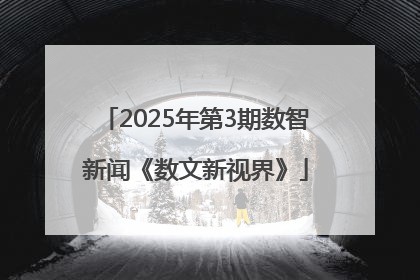 2025年第3期数智新闻《数文新视界》
