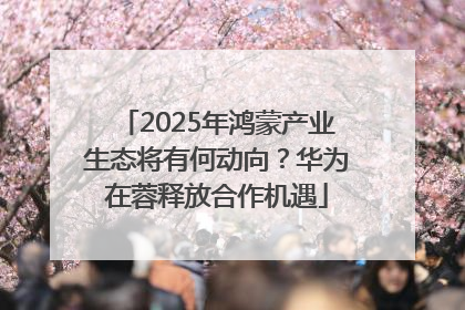 2025年鸿蒙产业生态将有何动向？华为在蓉释放合作机遇