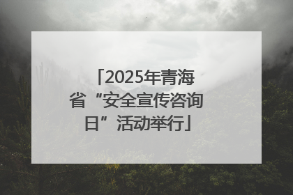 2025年青海省“安全宣传咨询日”活动举行
