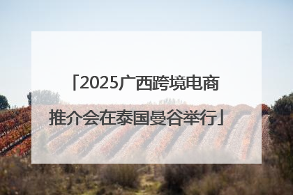 2025广西跨境电商推介会在泰国曼谷举行