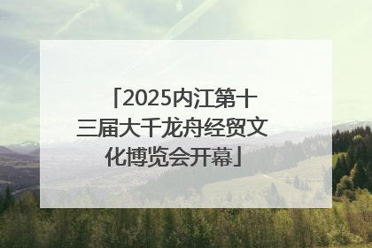 2025内江第十三届大千龙舟经贸文化博览会开幕