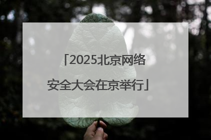 2025北京网络安全大会在京举行