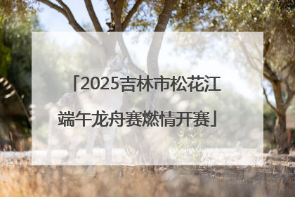 2025吉林市松花江端午龙舟赛燃情开赛