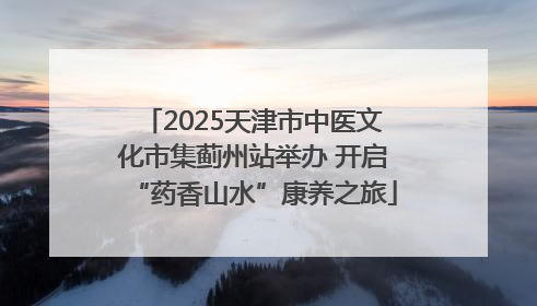 2025天津市中医文化市集蓟州站举办 开启“药香山水”康养之旅