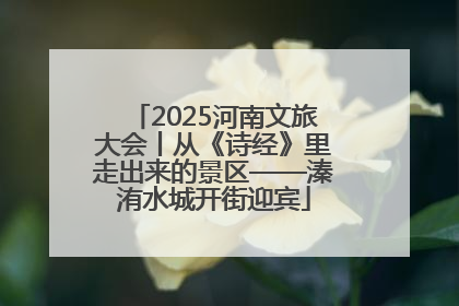 2025河南文旅大会丨从《诗经》里走出来的景区——溱洧水城开街迎宾