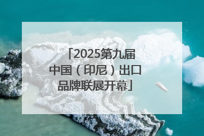 2025第九届中国（印尼）出口品牌联展开幕
