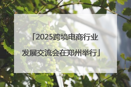 2025跨境电商行业发展交流会在郑州举行