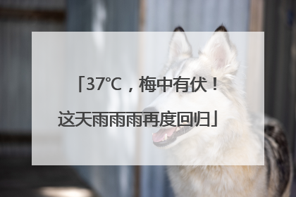37℃，梅中有伏！这天雨雨雨再度回归
