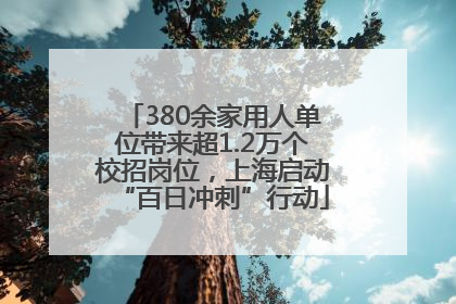 380余家用人单位带来超1.2万个校招岗位，上海启动“百日冲刺”行动