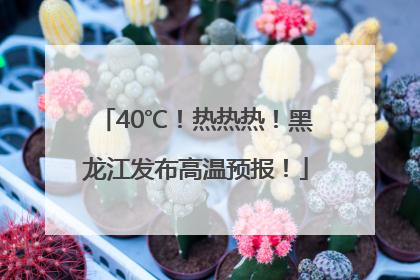 40℃！热热热！黑龙江发布高温预报！