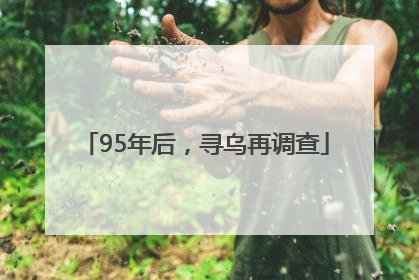 95年后，寻乌再调查