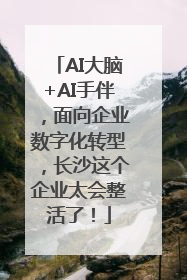 AI大脑+AI手伴，面向企业数字化转型，长沙这个企业太会整活了！
