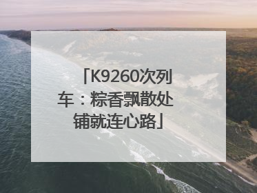 K9260次列车：粽香飘散处 铺就连心路