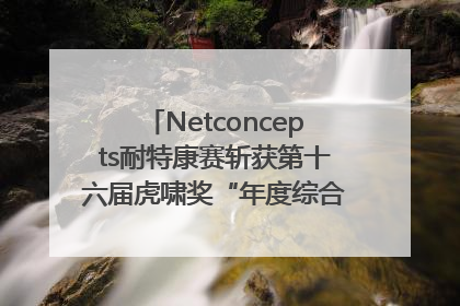 Netconcepts耐特康赛斩获第十六届虎啸奖“年度综合服务商”大奖