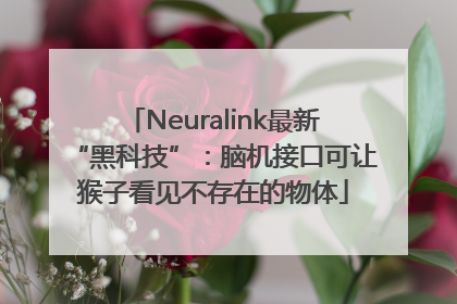 Neuralink最新“黑科技”：脑机接口可让猴子看见不存在的物体