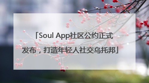 Soul App社区公约正式发布，打造年轻人社交乌托邦