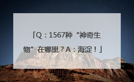 Q：1567种“神奇生物”在哪里？A：海淀！